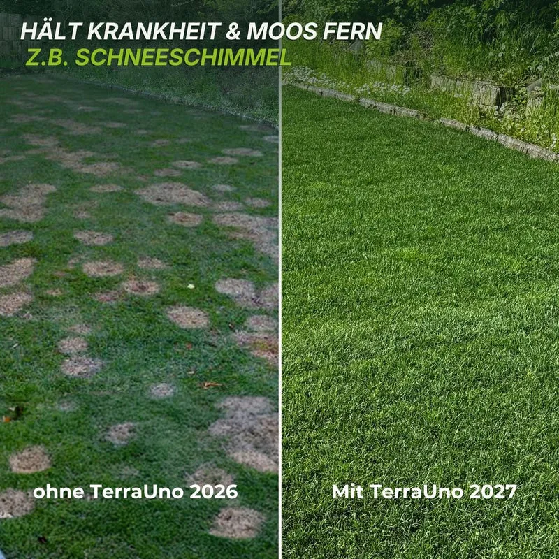 Premium - Herbst Rasendünger
