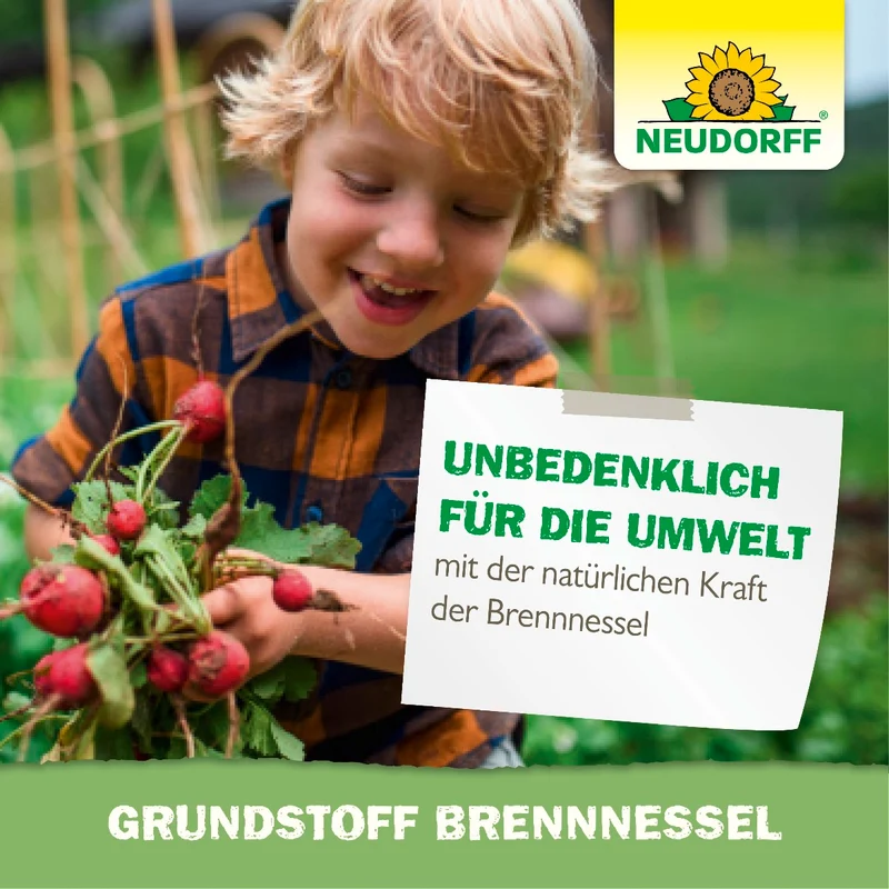 Grundstoff Brennnessel