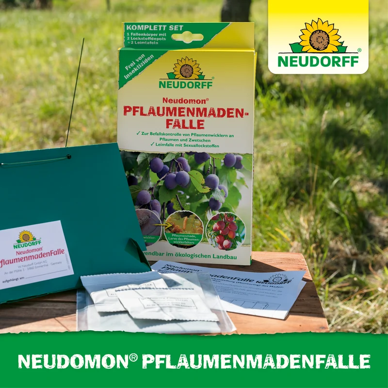 Neudomon PflaumenmadenFalle