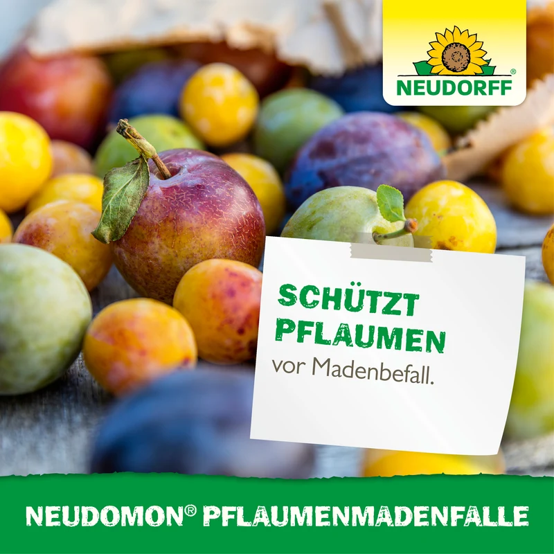 Neudomon PflaumenmadenFalle