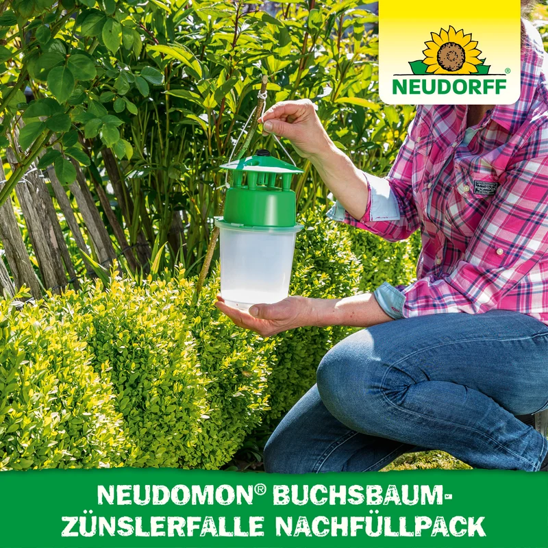 Neudomon BuchsbaumzünslerFalle Nachfüllpack