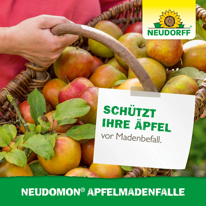 Neudomon ApfelmadenFalle