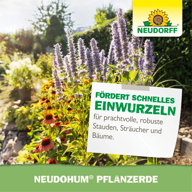 NeudoHum PflanzErde