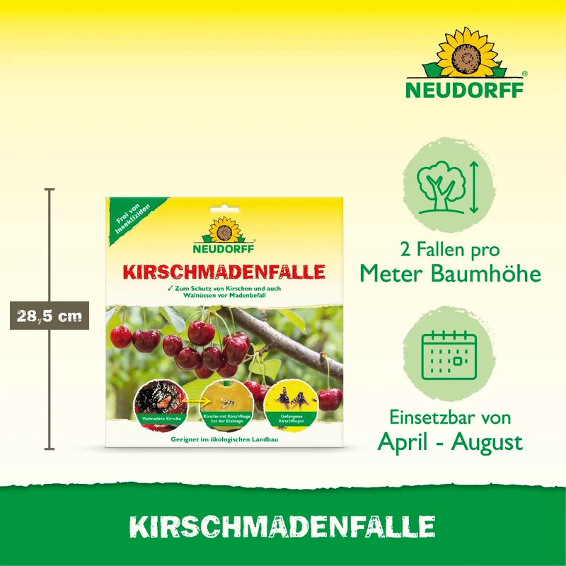 KirschmadenFalle