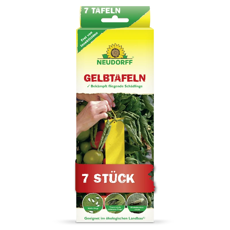 Gelbtafeln (kleinformatig)