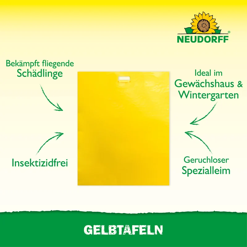 Gelbtafeln (großformatig)