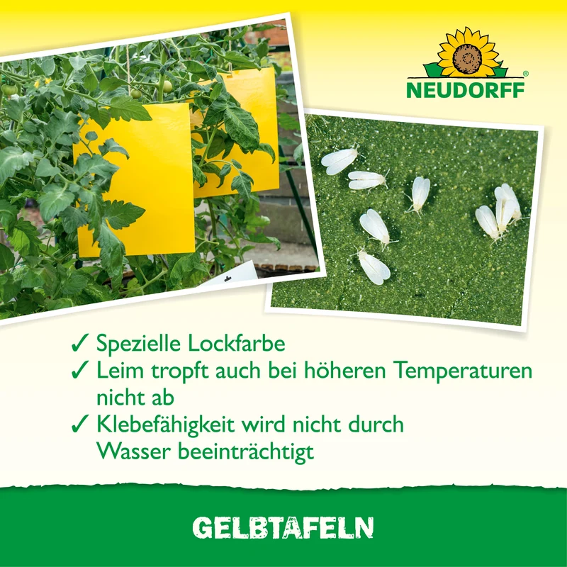 Gelbtafeln (großformatig)