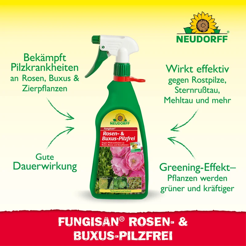 Fungisan Rosen- und Buxus-Pilzfrei