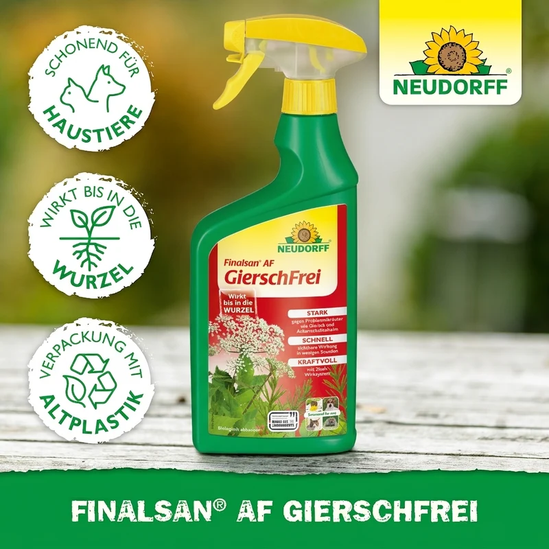 Finalsan AF GierschFrei