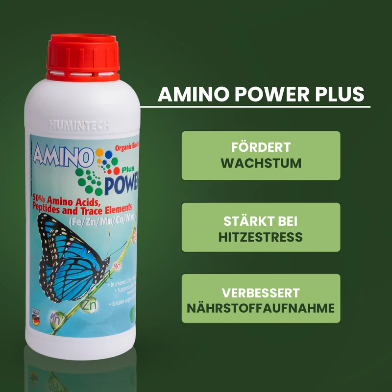 Bodenpower-Bundle - GRATIS Versand