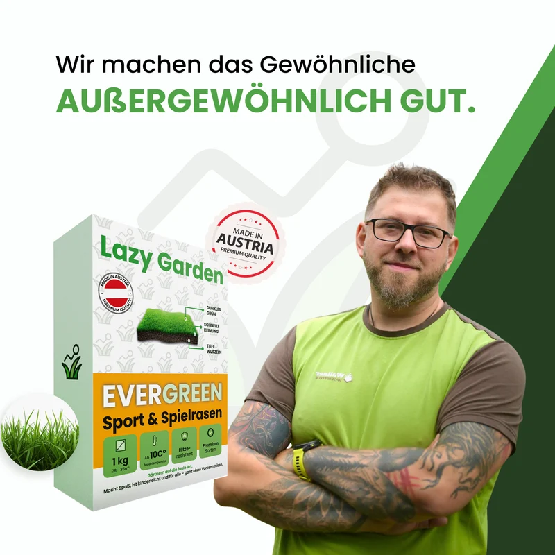Evergreen Rasensamen – Trockenresistent (über RSM Qualität)