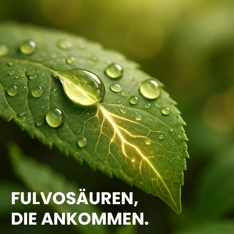 HuminTech Fulvagra 25 Flüssig - verbesserte Nährstoffaufnahme