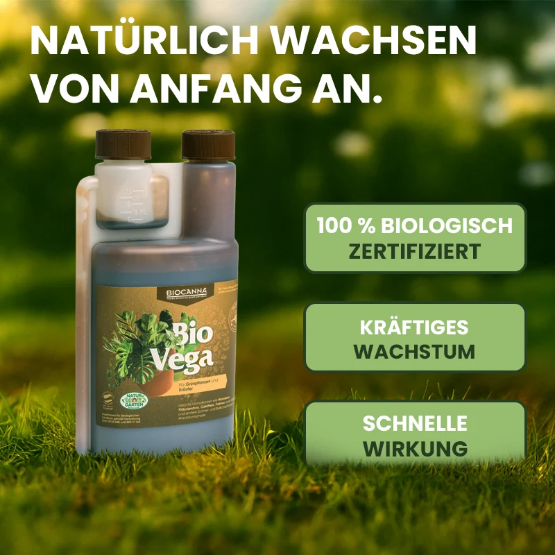 BIOCANNA Bio Vega NPK 3-1-5 – Organischer Flüssigdünger für Grünpflanzen & Kräuter