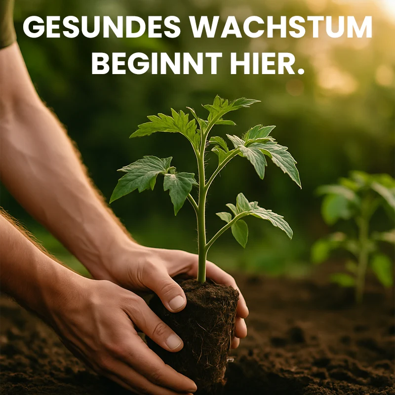 BIOCANNA Bio Vega NPK 3-1-5 – Organischer Flüssigdünger für Grünpflanzen & Kräuter