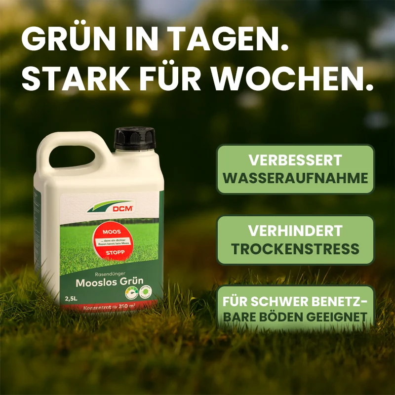 DCM Rasendünger Mooslos Grün 8-4-2 + Fe-Chelat