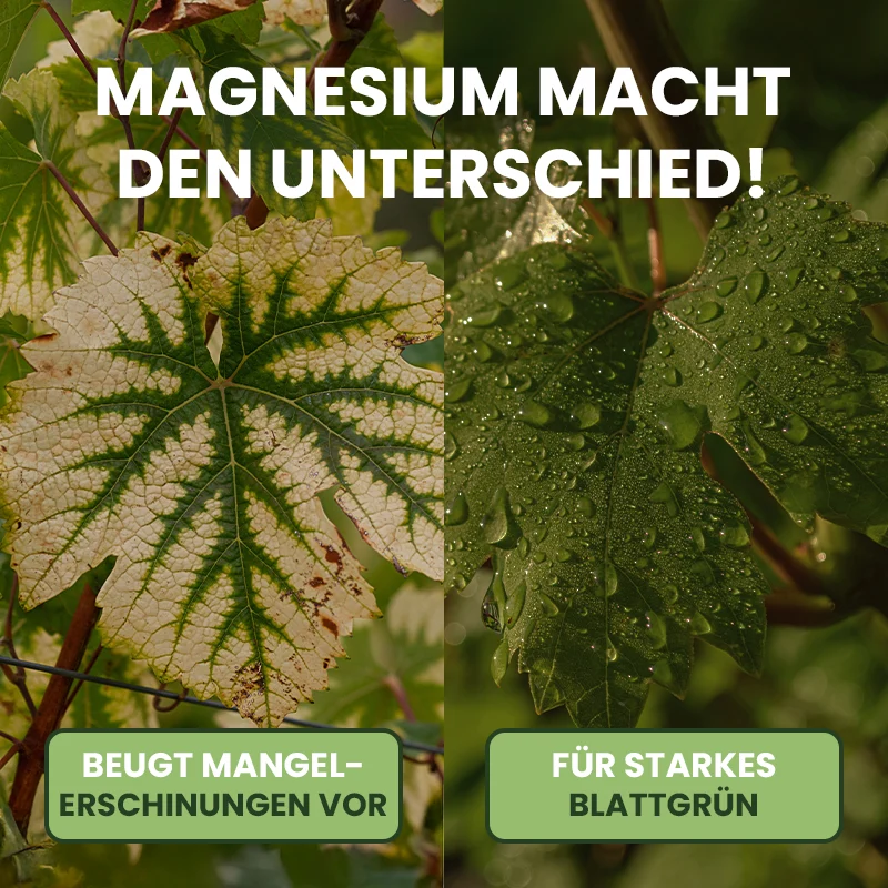 DCM Grün-Kalk – pH-hebend für Rasen & Garten