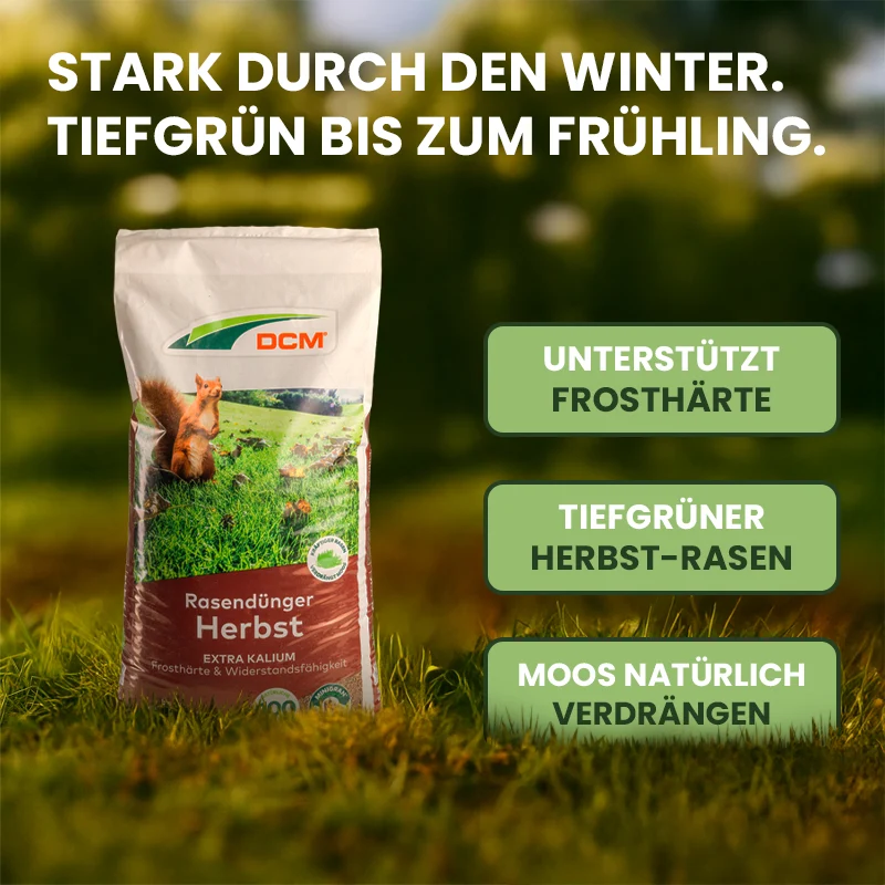 DCM Rasendünger Herbst 8-4-15 (+2% MgO, 0,1% Fe)