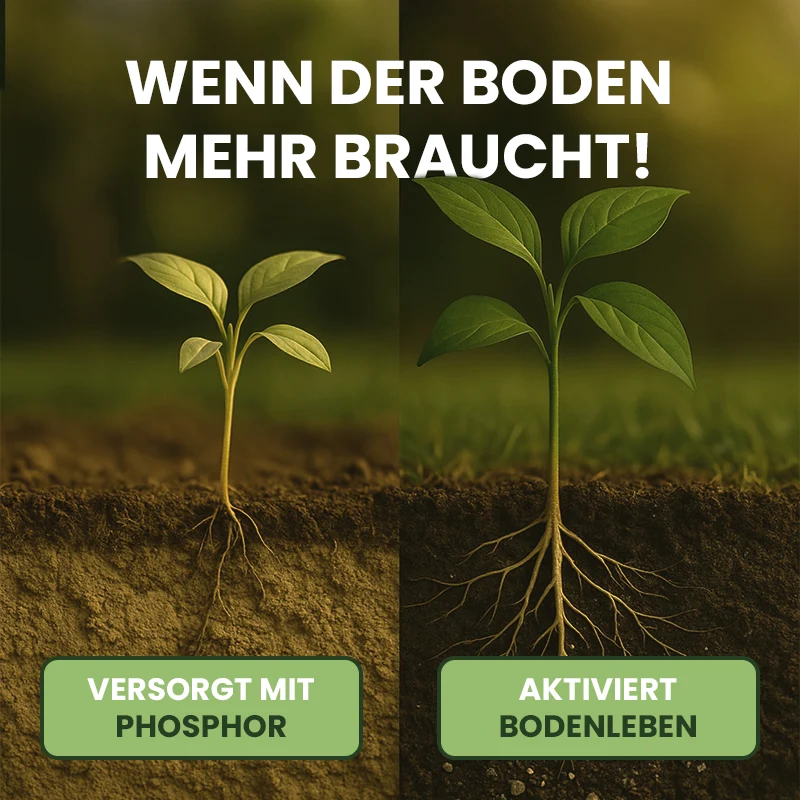 DCM Bodenaktivator – Rasen & Garten 4-10-2 + 1 Fe