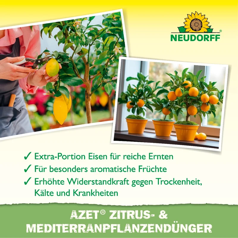 Azet Zitrus- & MediterranpflanzenDünger