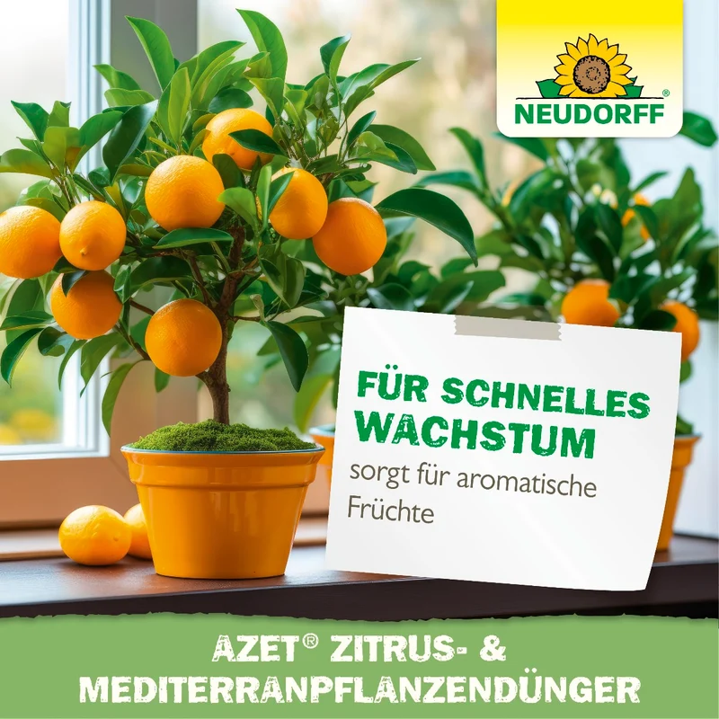 Azet Zitrus- & MediterranpflanzenDünger