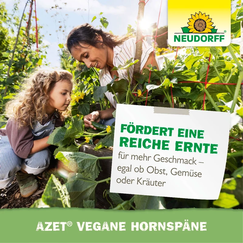 Azet Vegane Hornspäne