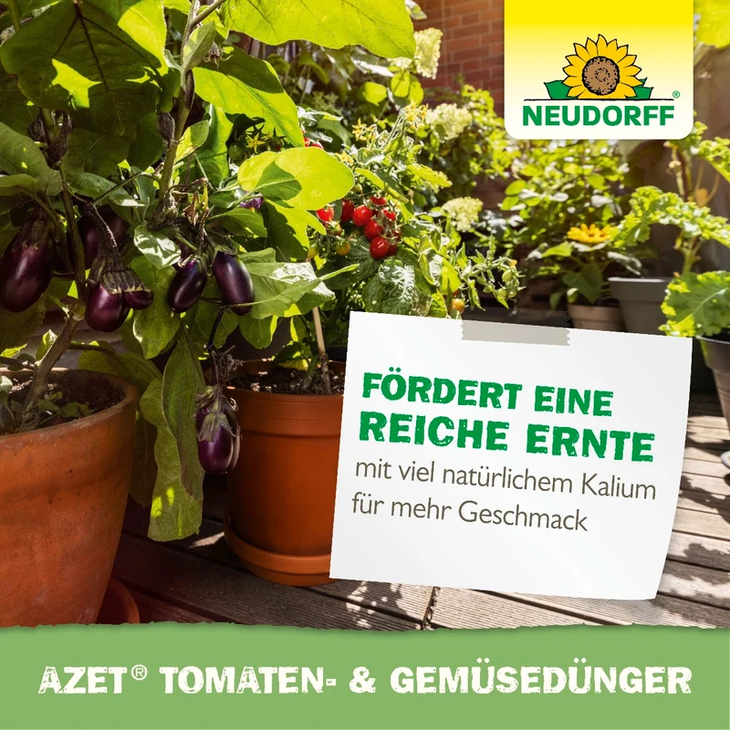 Azet Tomaten- & GemüseDünger flüssig