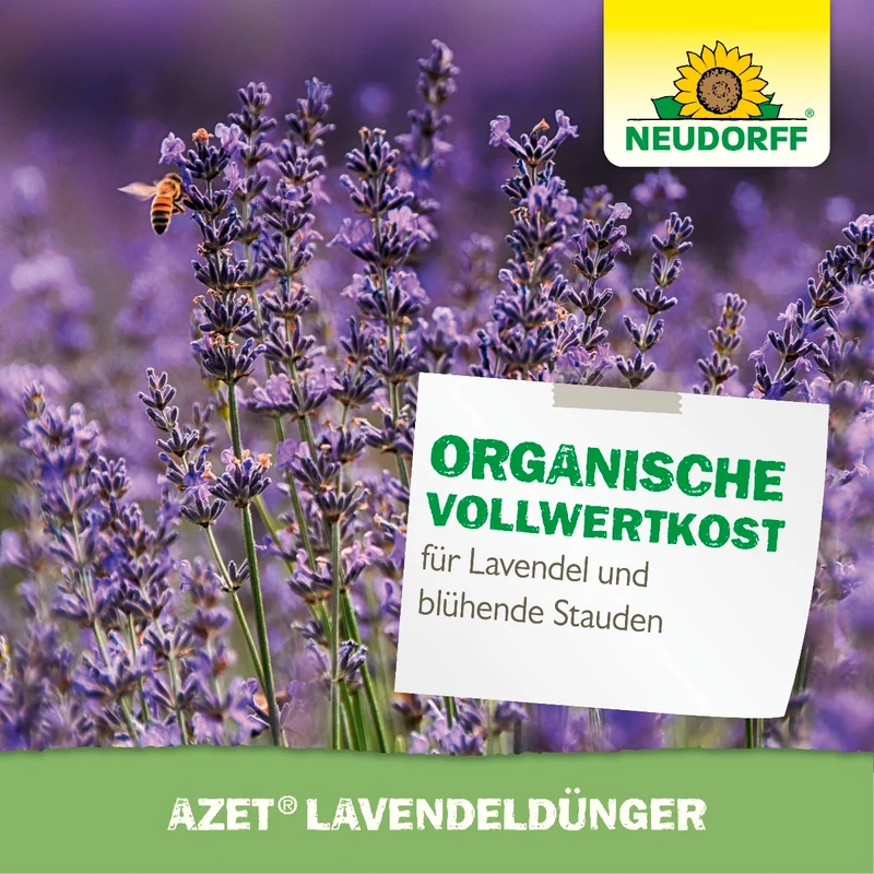 Azet LavendelDünger