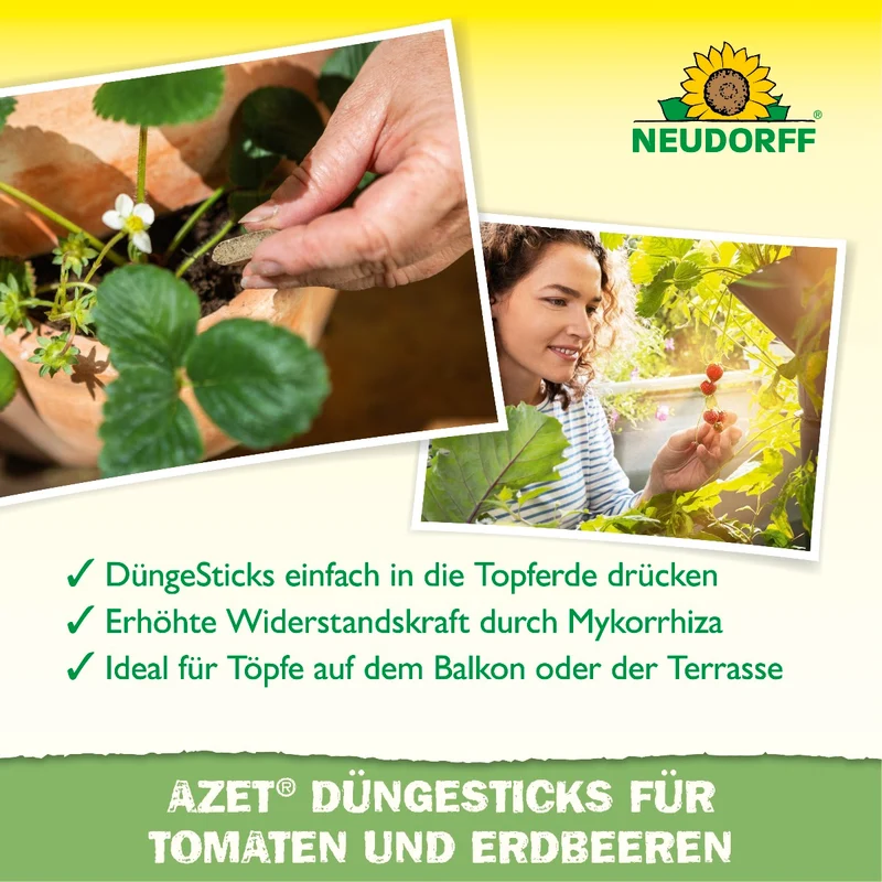 Azet Düngesticks für Tomaten & Erdbeeren