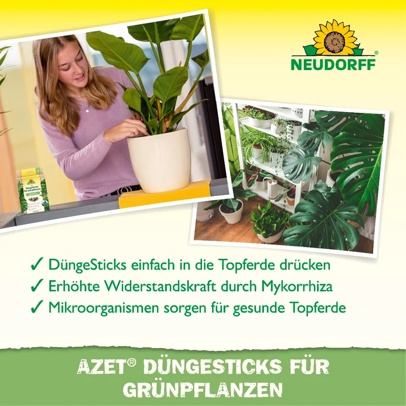 Azet Düngesticks für Grünpflanzen
