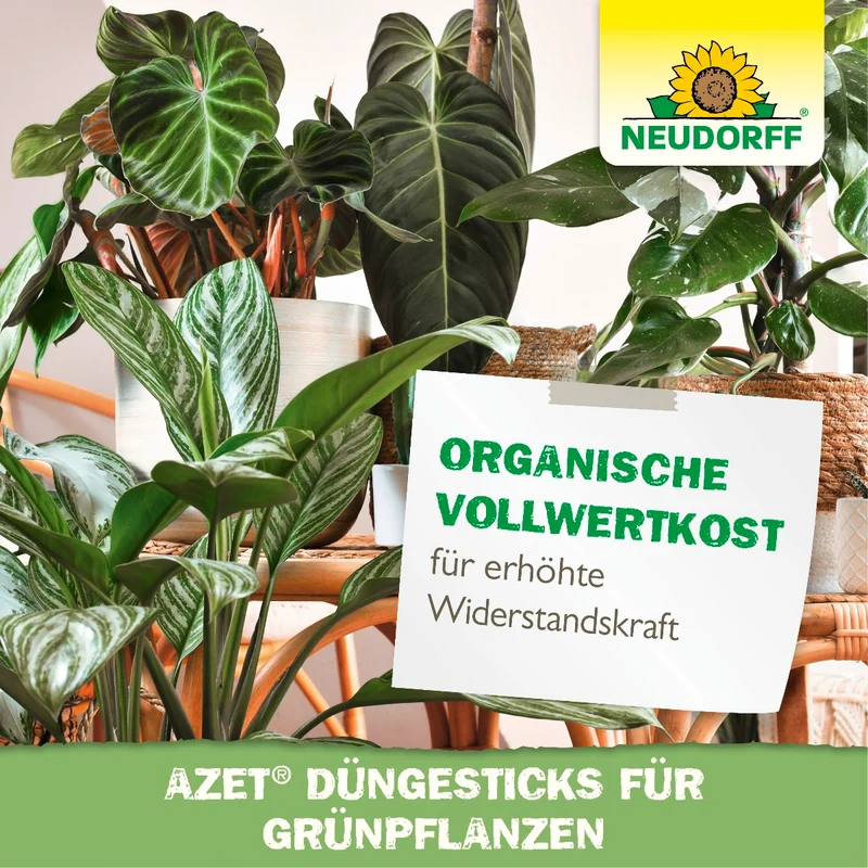 Azet Düngesticks für Grünpflanzen