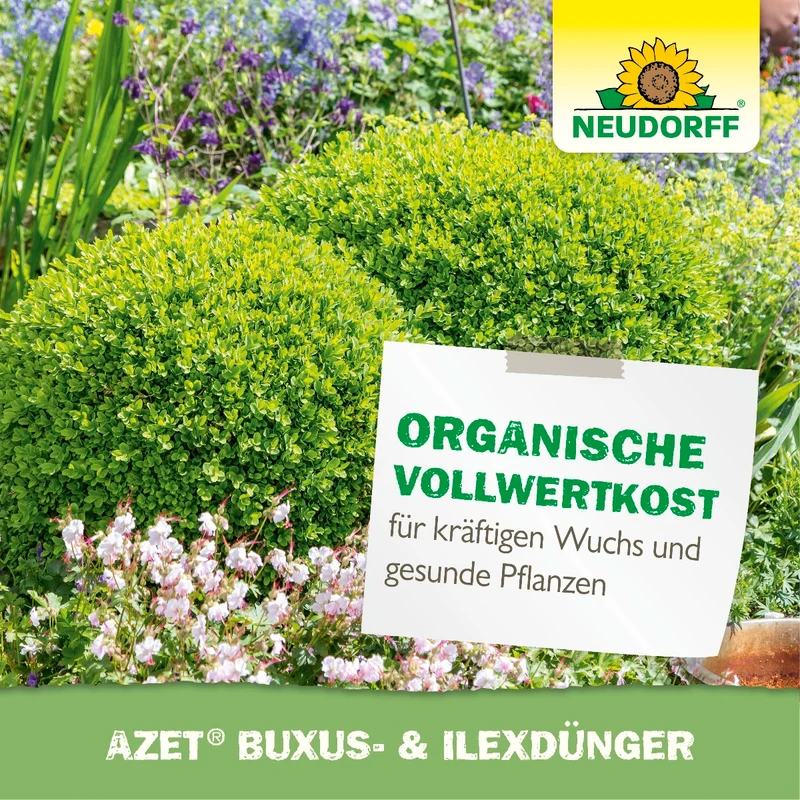 Azet Buxus- & IlexDünger flüssig