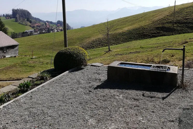 Der Berg ruft (Maximale Blütenfreude für raue Gegenden)