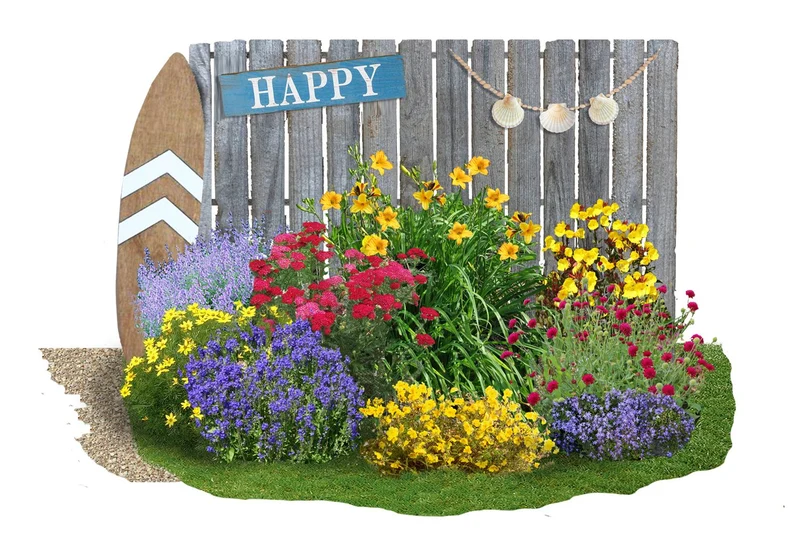 Achillea-Paket 'Happy' (Gute Laune garantiert!)