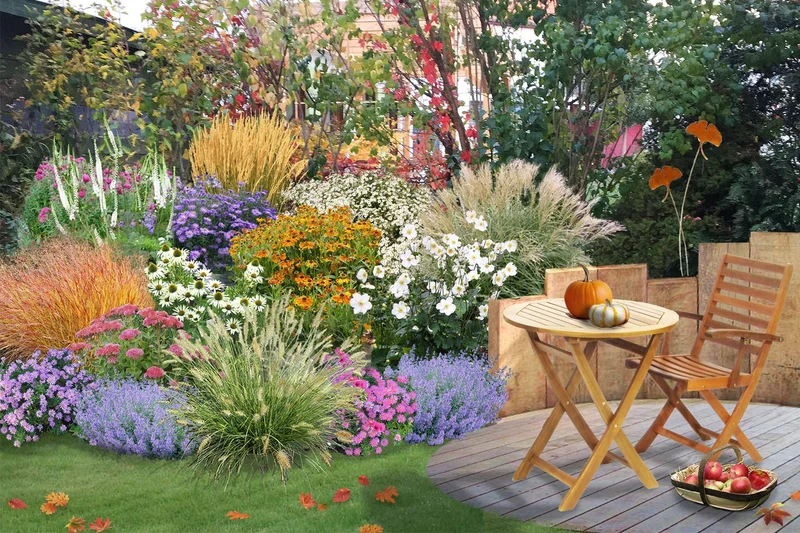 Leuchtender Herbst (Farbenfroher Ausklang im Garten)