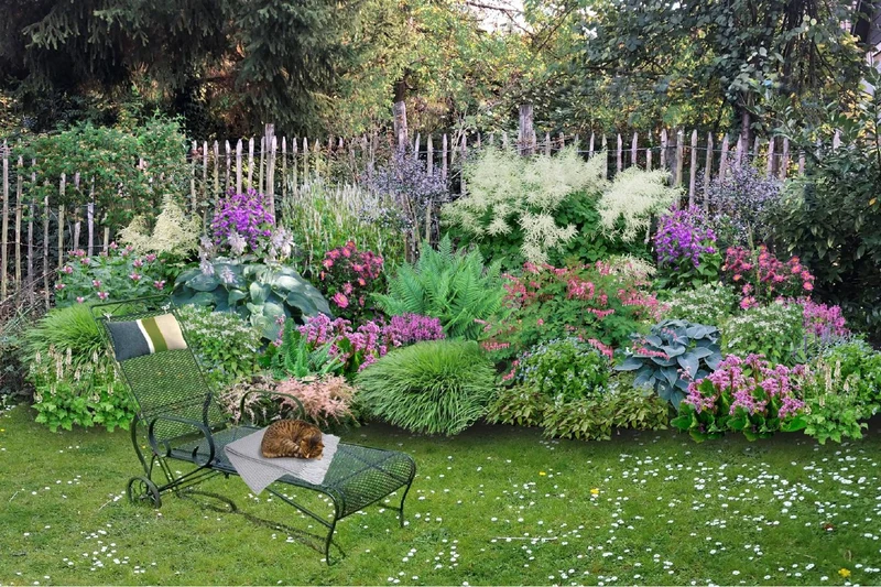 Charmantes Schattenbeet (Blüten-& Blattschmuck für lichtarme Gartenbereiche)