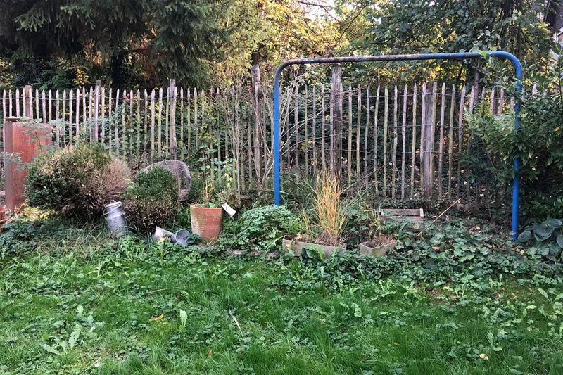 Charmantes Schattenbeet (Blüten-& Blattschmuck für lichtarme Gartenbereiche)