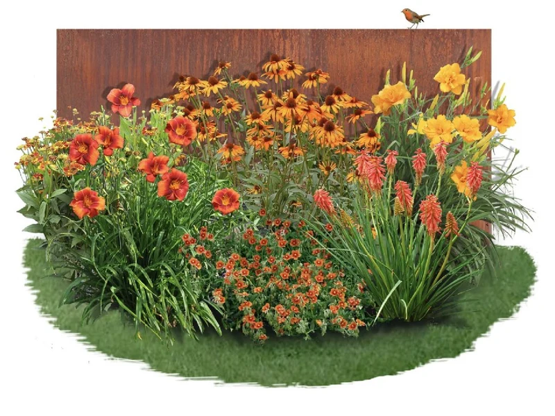 Hemerocallis-Paket 'Firebird' (Feurige Farben für den sommerlichen Garten)