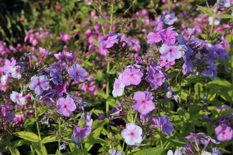 Traum in Mauve & Silber (Mitreißende Ton-in-Ton Inszenierung)