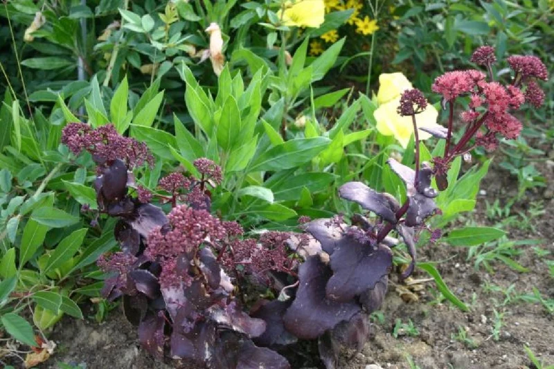 Traum in Mauve & Silber (Mitreißende Ton-in-Ton Inszenierung)
