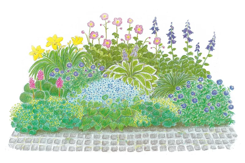 Licht und Schatten (Schönes für dunkle Gartenecken)