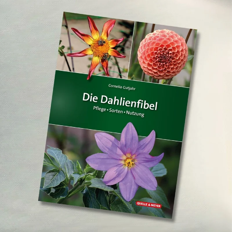 Die Dahlienfibel (Cornelia Gutjahr)