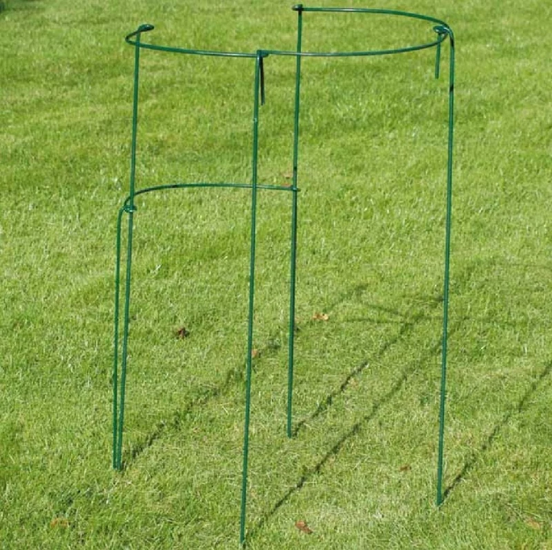 Staudenstützen 'Oxxford' (Staudenhalter)