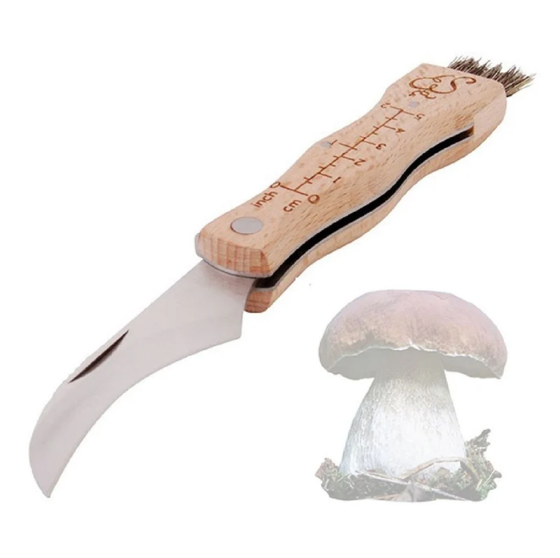 Pilzmesser mit Bürste (aus Edelstahl und Buchenholz)
