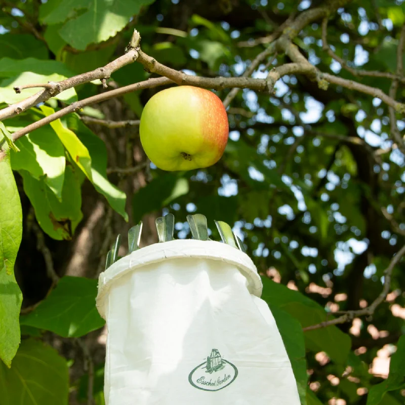 Obstpflücker (für die Obsternte)