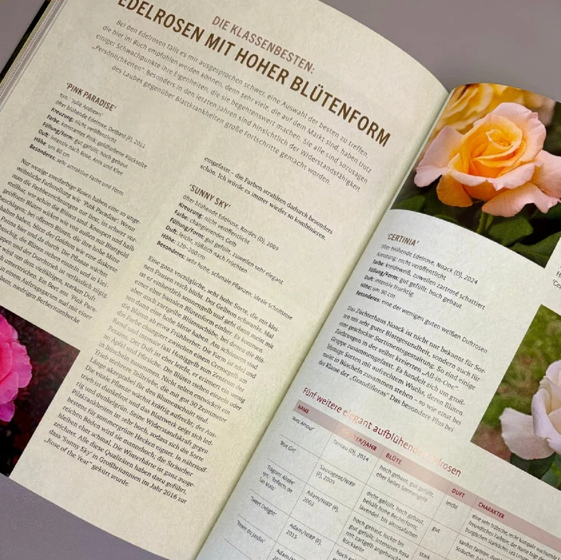 Das große Ulmer Rosenbuch (Andreas Barlage)
