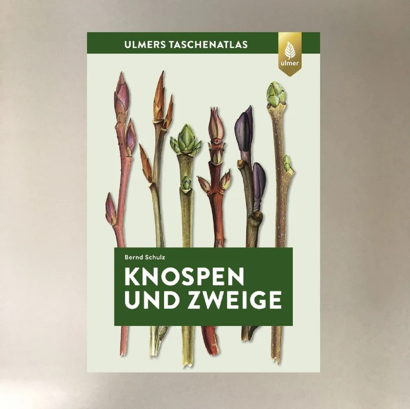 Knospen und Zweige (Jean-Denis Godet)