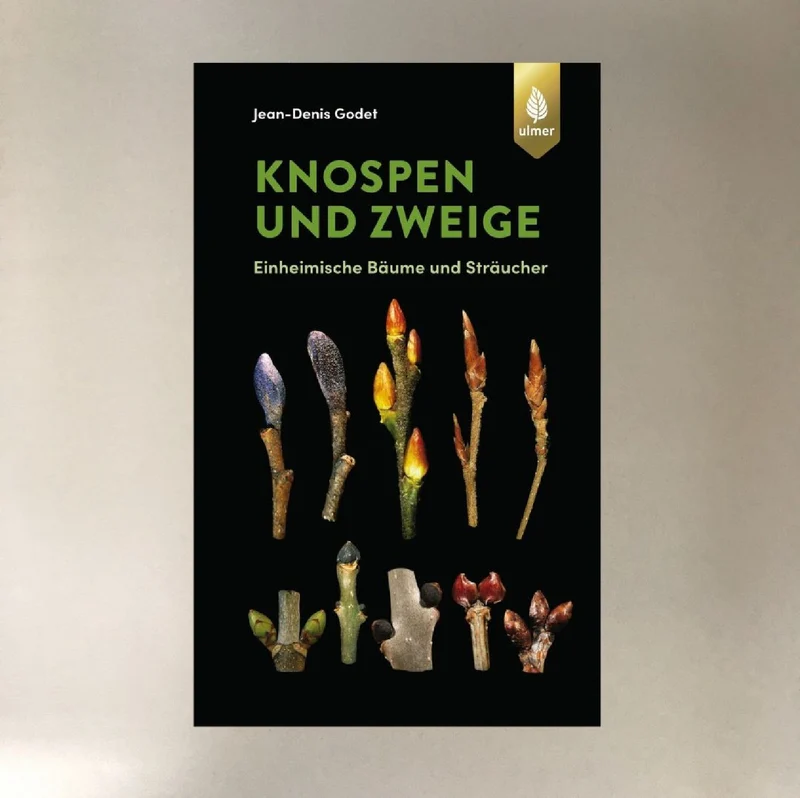Knospen und Zweige (Jean-Denis Godet)