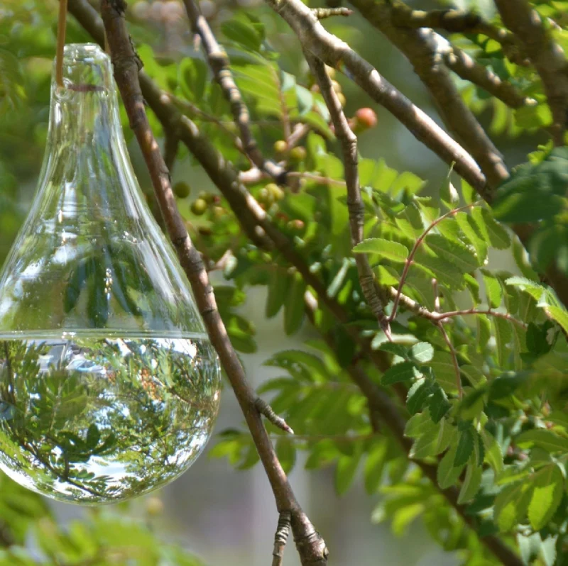 Fliegenvertreiber aus Glas (natürlich ohne Giftstoffe)