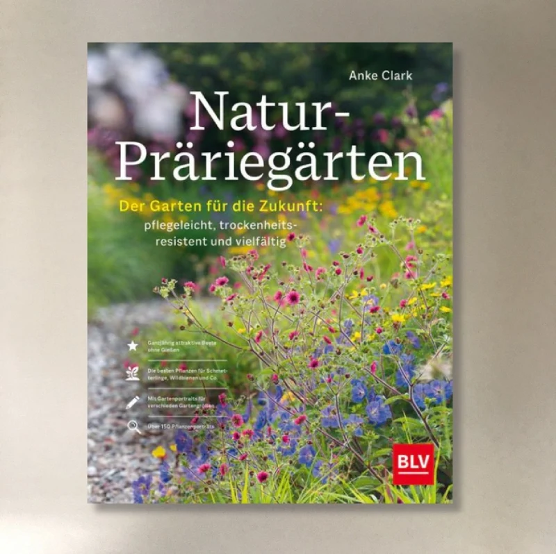 Natur-Präriegärten (Anke Clark)