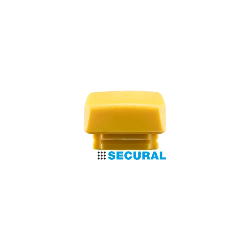 SECURAL-Schlageinsatz